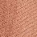 camel color