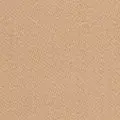 nude color
