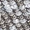 silver color