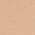 camel color