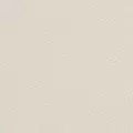 beige color