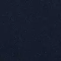 navy color