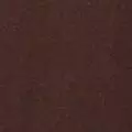 chocolate color