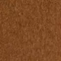 camel color