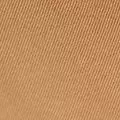 camel color
