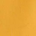 mango color