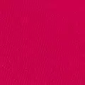 raspberry color